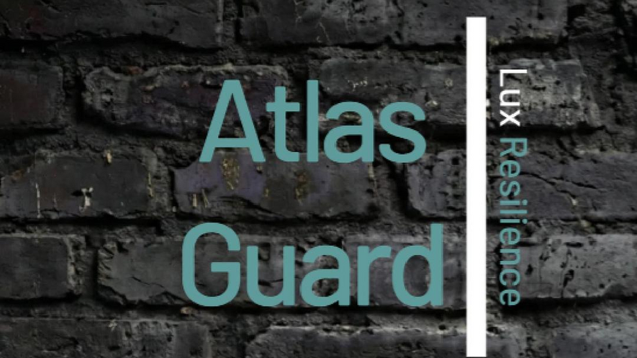 Atlas Guard Performance Socks